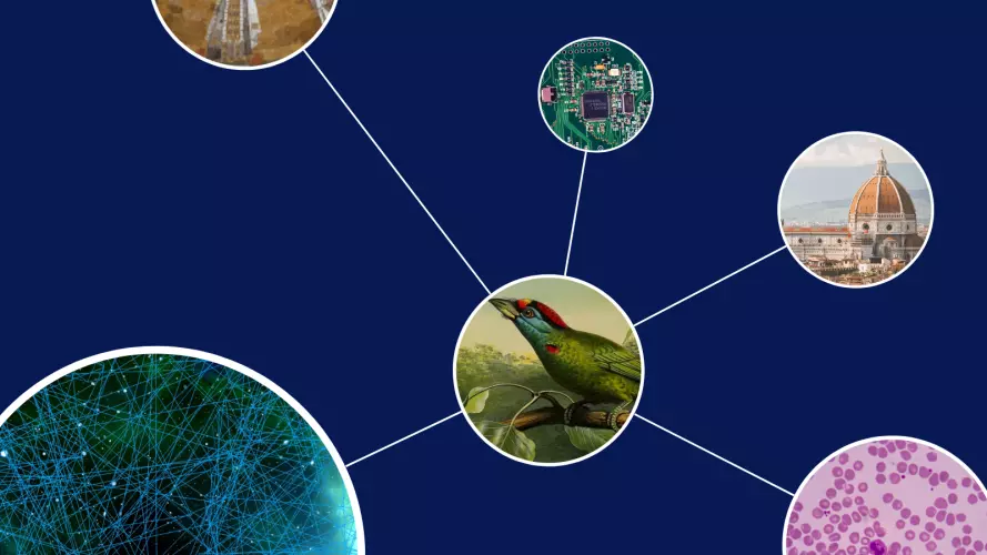 Several circles containing images representing different disciplines (e.g. a leaf for biology) connected by lines.