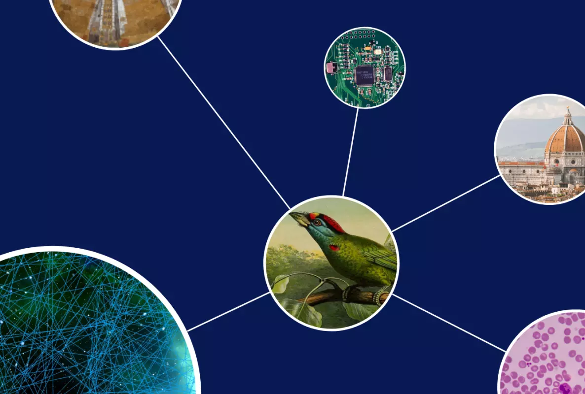 Several circles containing images representing different disciplines (e.g. a leaf for biology) connected by lines.