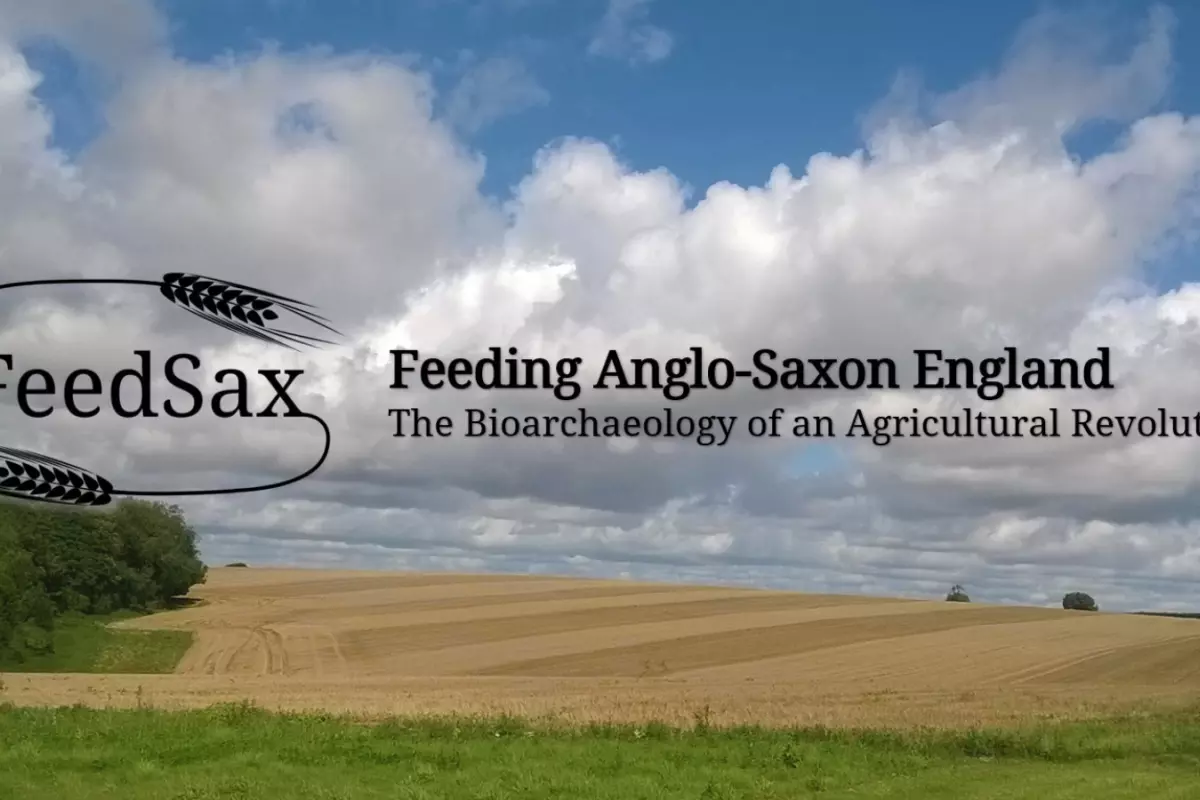 FeedSax Angle-Saxon England logo on a field landscape image
